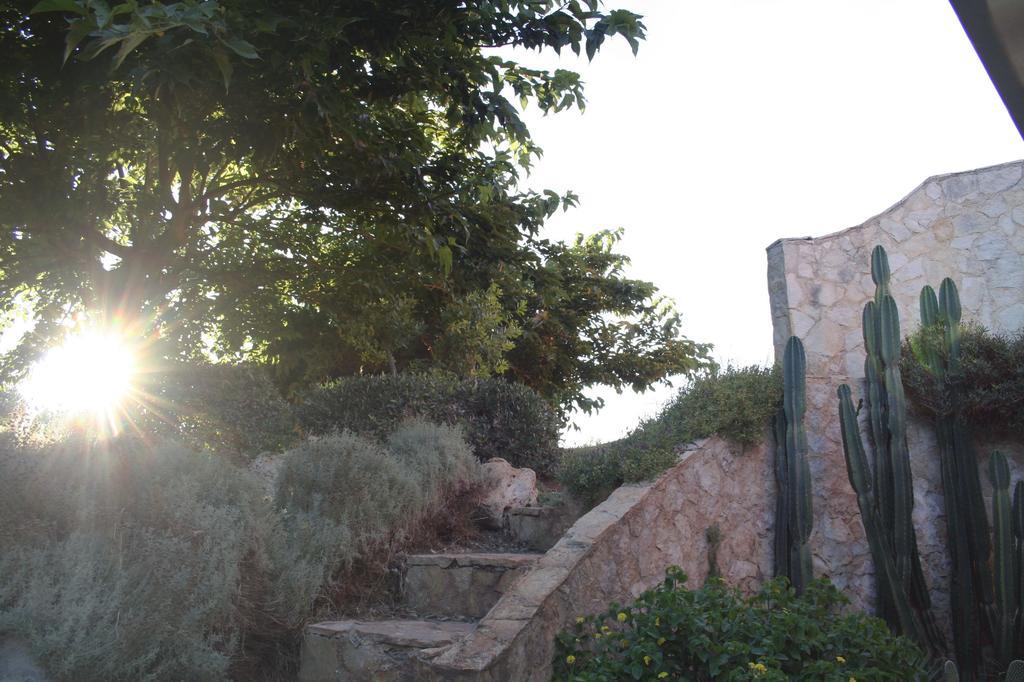 奥尼萨诺Pozzillo San Rocco住宿加早餐旅馆 外观 照片